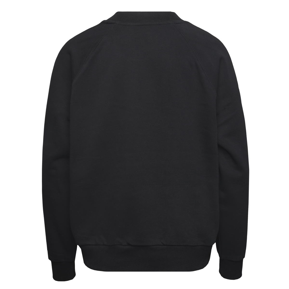 Napapijri Bebel C W 1 Sweatshirt schwarz
