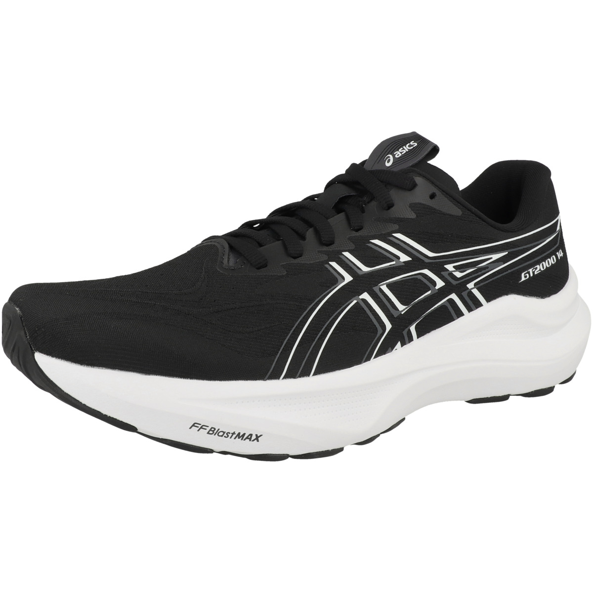 Asics GT-2000 14 Men Laufschuhe schwarz
