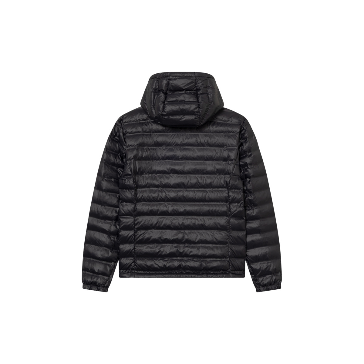 Blauer Charles Steppjacke schwarz