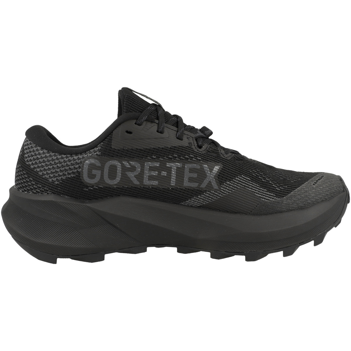 Asics Trabuco 14 GTX Laufschuhe schwarz
