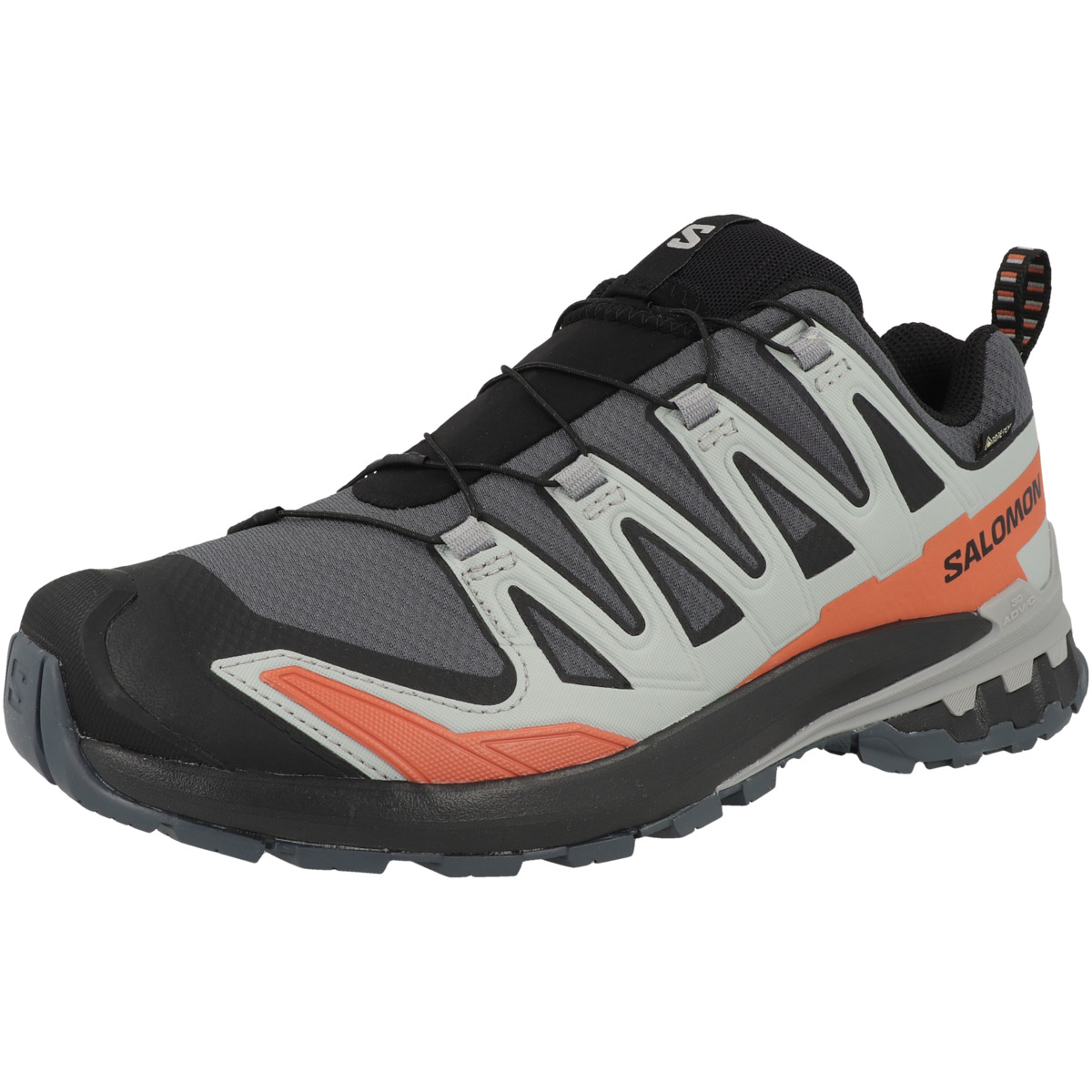 Salomon XA PRO 3D V9 GTX Trailrunning Laufschuhe grau