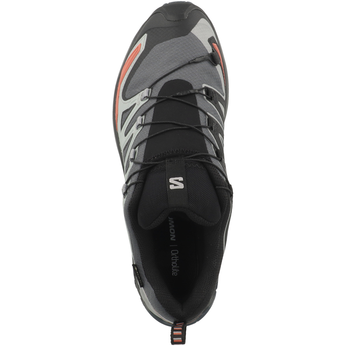Salomon XA PRO 3D V9 GTX Trailrunning Laufschuhe grau