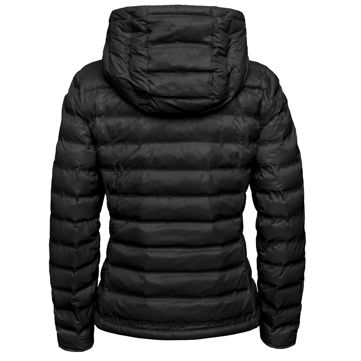 Blauer Ellis Steppjacke schwarz