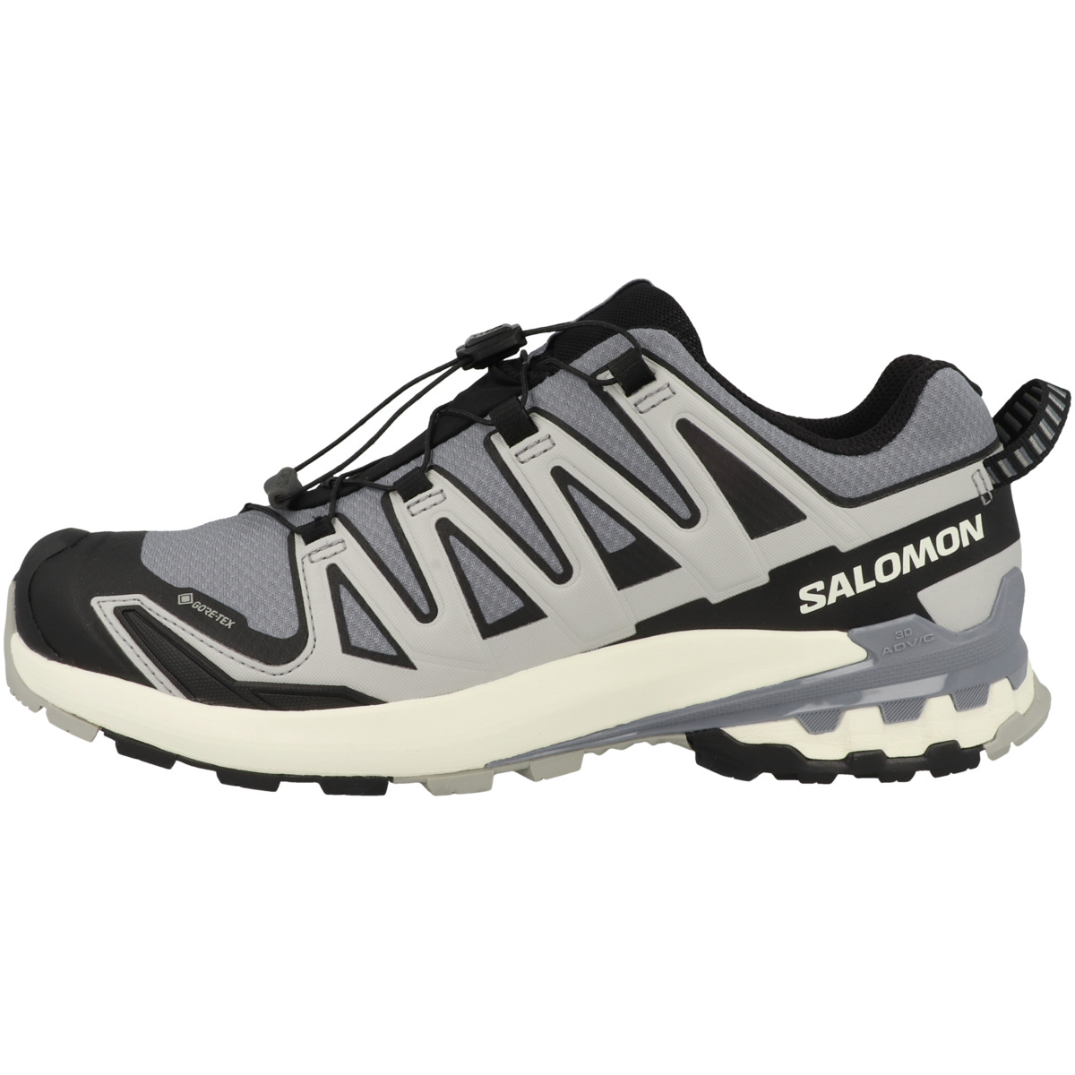 Salomon XA PRO 3D V9 GTX Trailrunning Laufschuhe grau