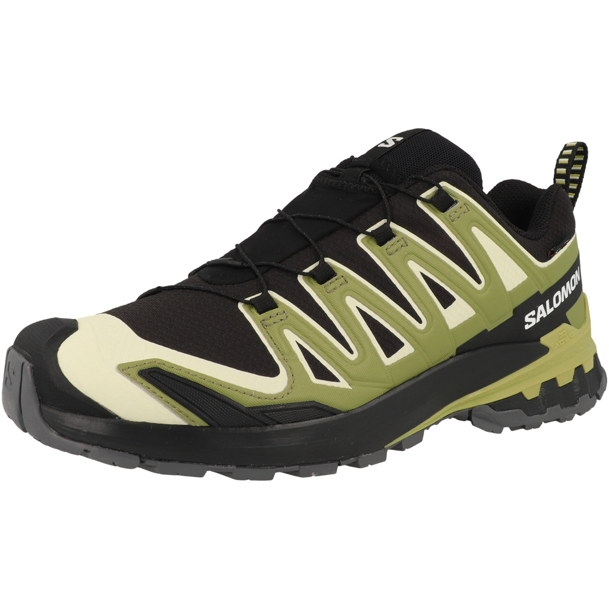 Salomon XA PRO 3D V9 GTX Trailrunning Laufschuhe schwarz