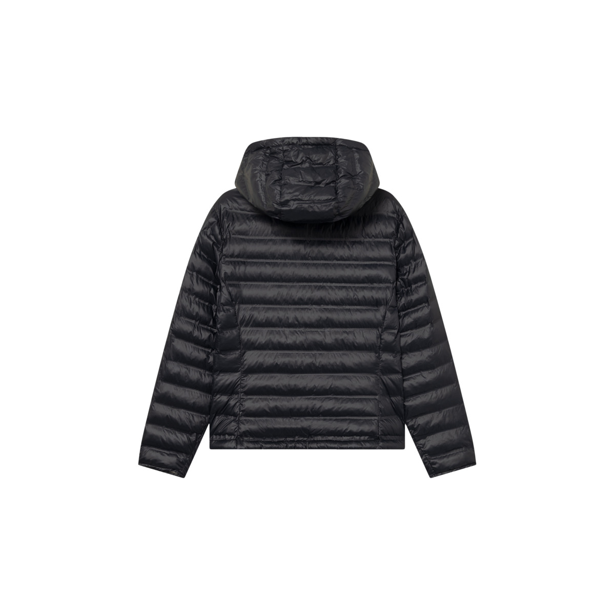 Blauer Ellis Steppjacke schwarz