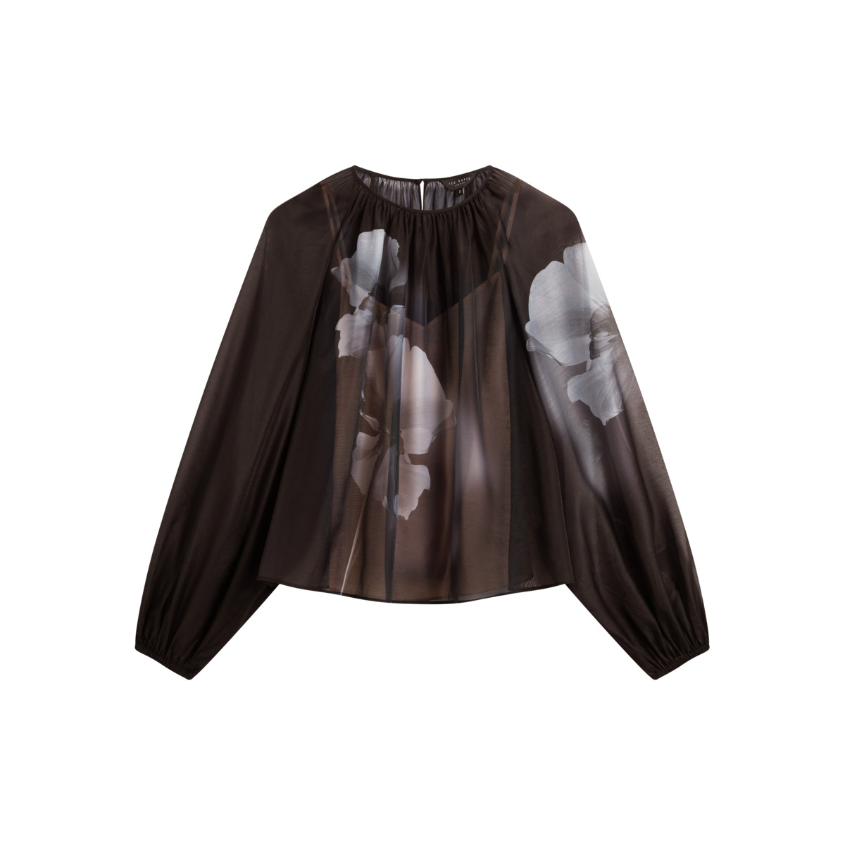 Ted Baker PLAAZA Bluse schwarz