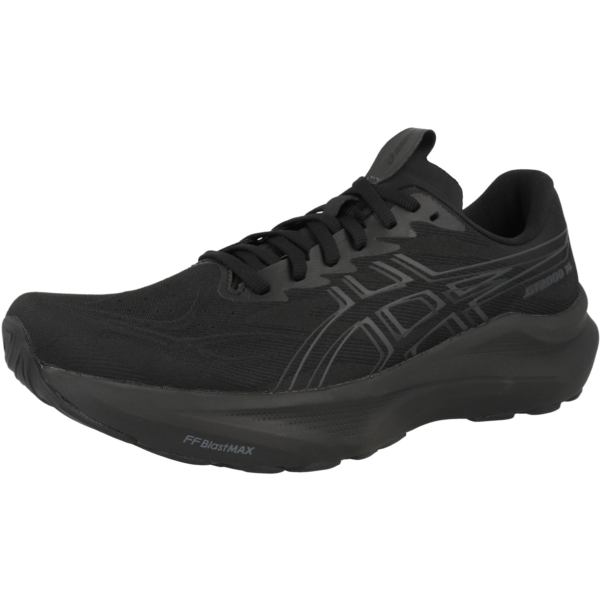 Asics GT-2000 14 Men Laufschuhe schwarz