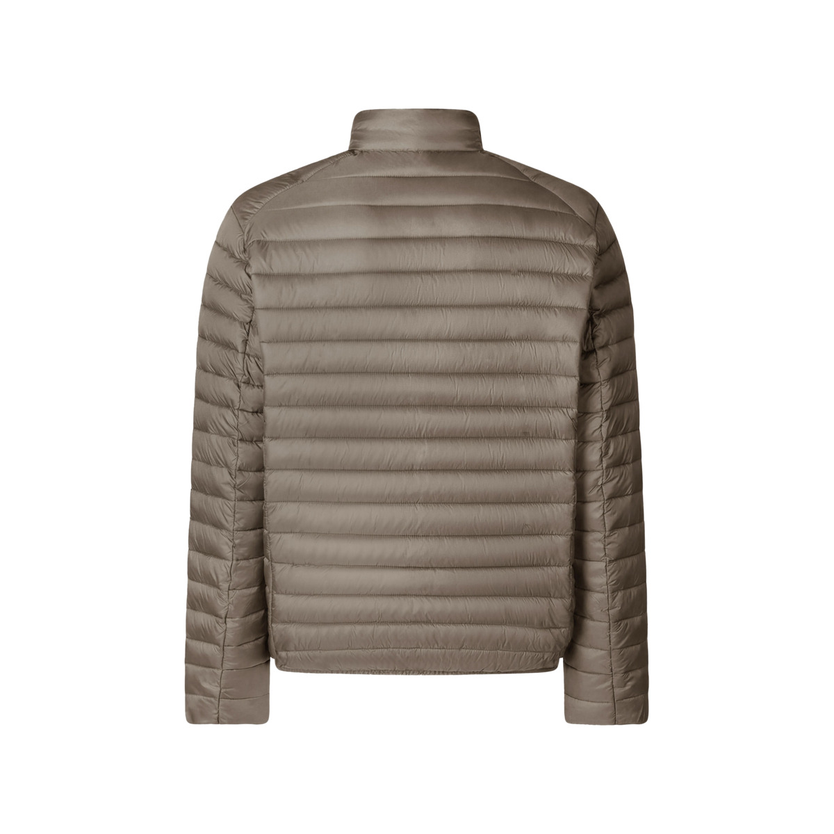 Save the Duck Alexander Steppjacke grau