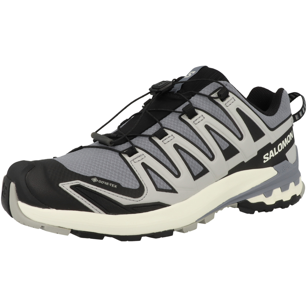 Salomon XA PRO 3D V9 GTX Trailrunning Laufschuhe grau